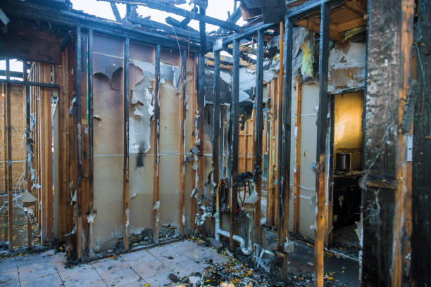 Professional Fire Damage Removal technician working in Hampton, MN